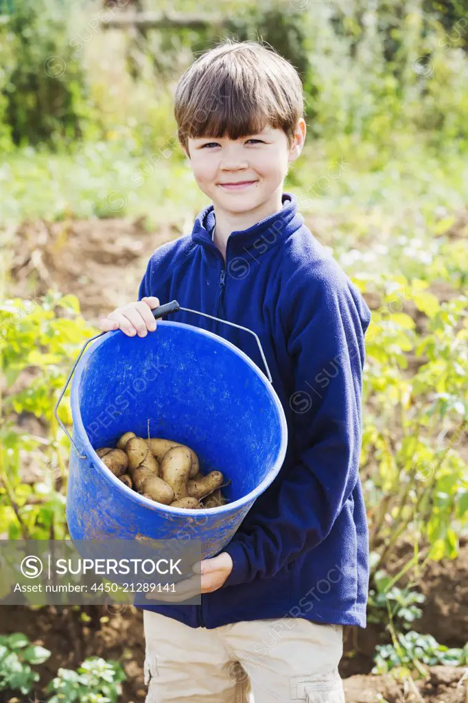 A boy holding a bucket of potatoes in a field.