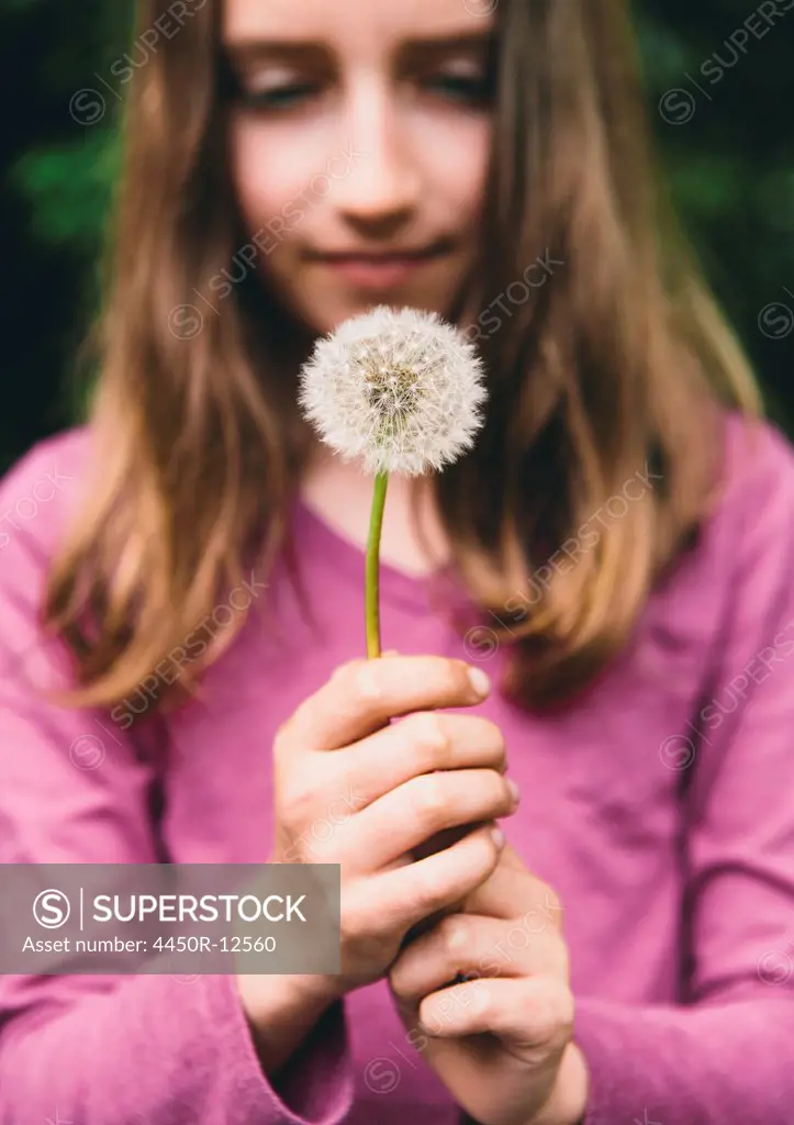 A ten year old girl holding a dandelion clock seedhead on a long stem.  Seattle, Washington, USA