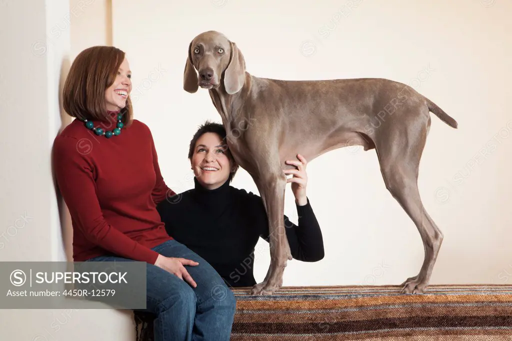 A same sex couple two women posing with their Weimaraner pedigree  