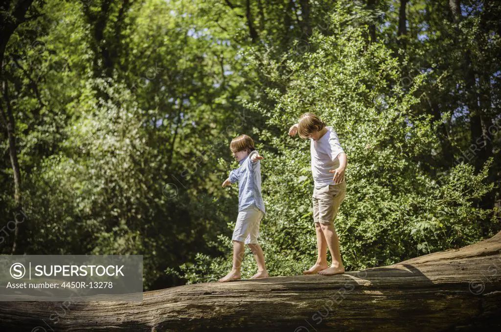 Two boys camping in the New Forest. Walking along a log above the water, balancing with their arms outstretched.  Hampshire, England. 08/06/2013