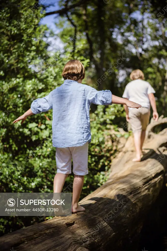 Two boys camping in the New Forest. Walking along a log above the water, balancing with their arms outstretched.  Hampshire, England. 08/06/2013