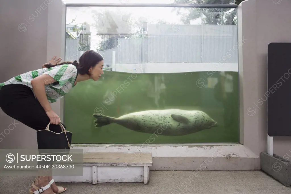 A woman crouching by a marine tank at an aquarium exhibit. An animal in the water.