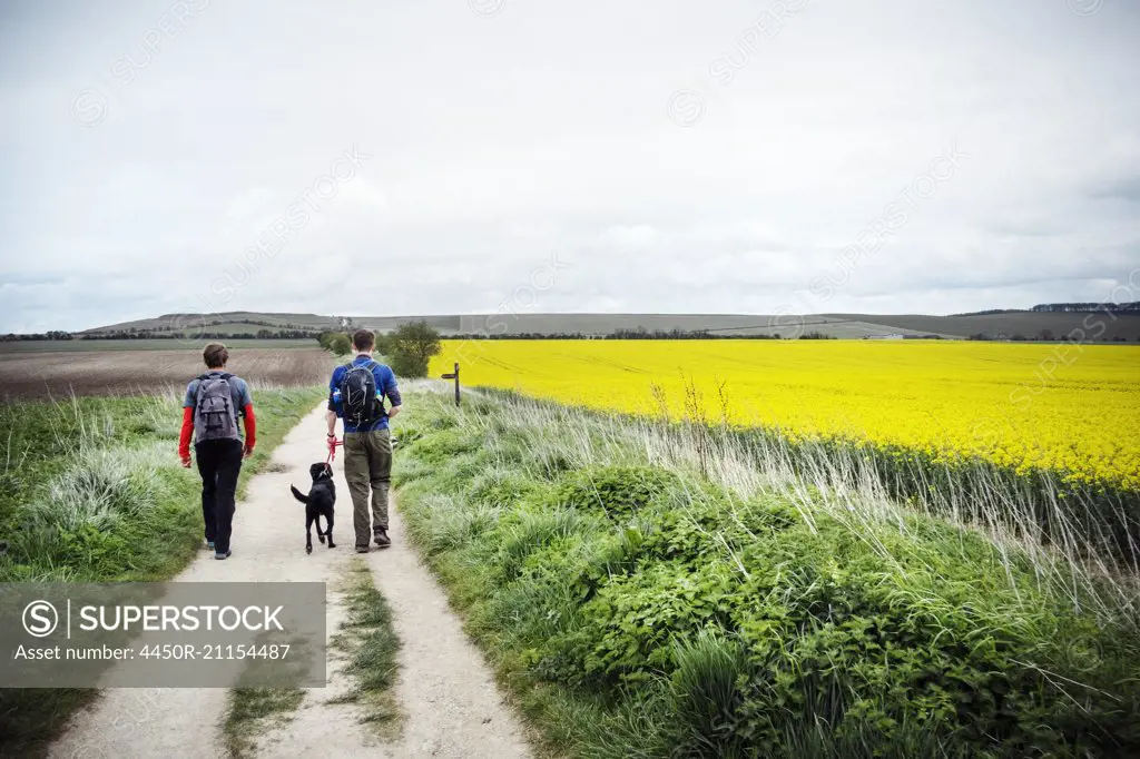 Walking along the ancient Ridgeway path through the county of Berkshire.