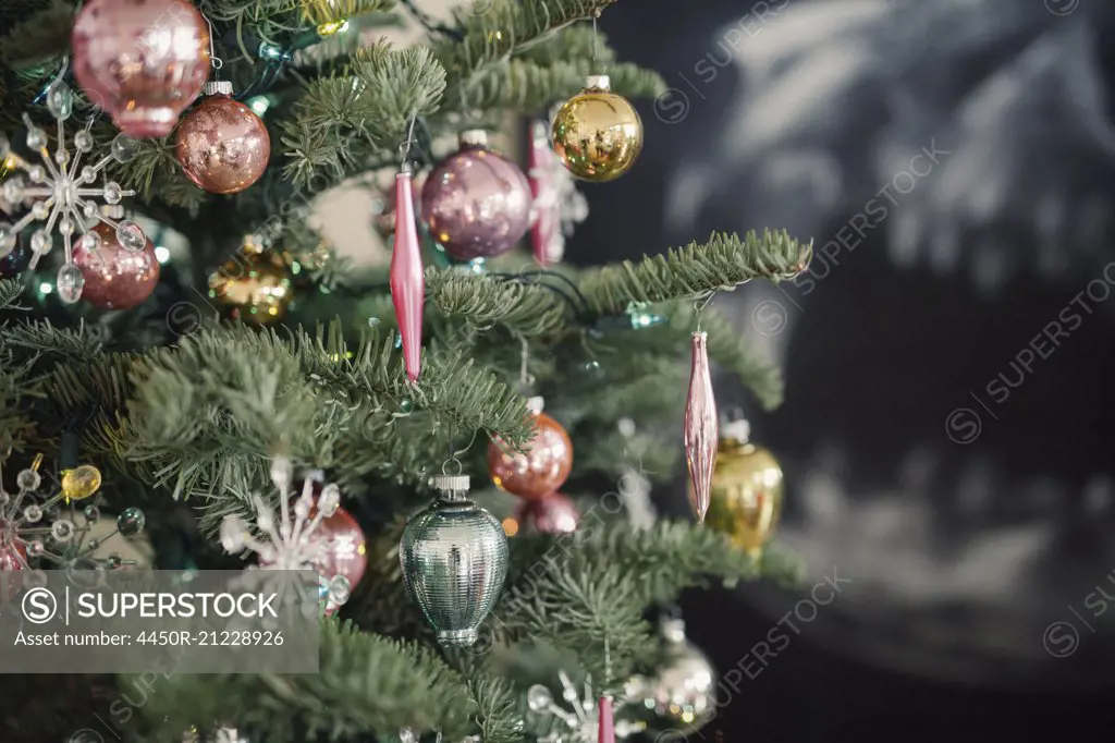 Christmas Tree, a real pine tree decorated with baubles and ornaments.