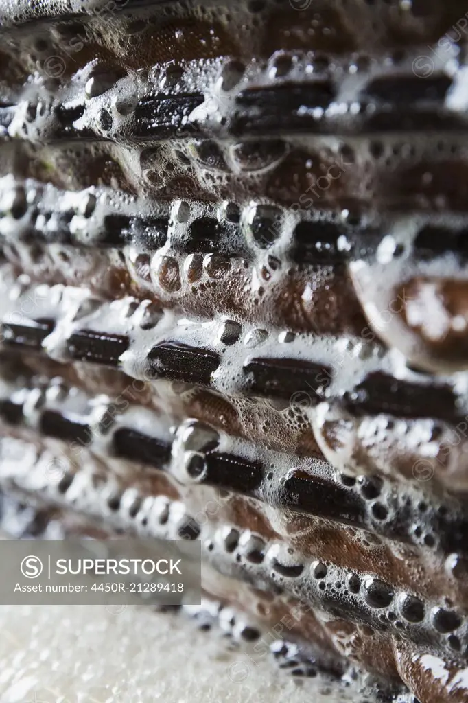 An apple press, shelves of apple pulp being pressed down. Foaming fresh juice running down the sides of the press.