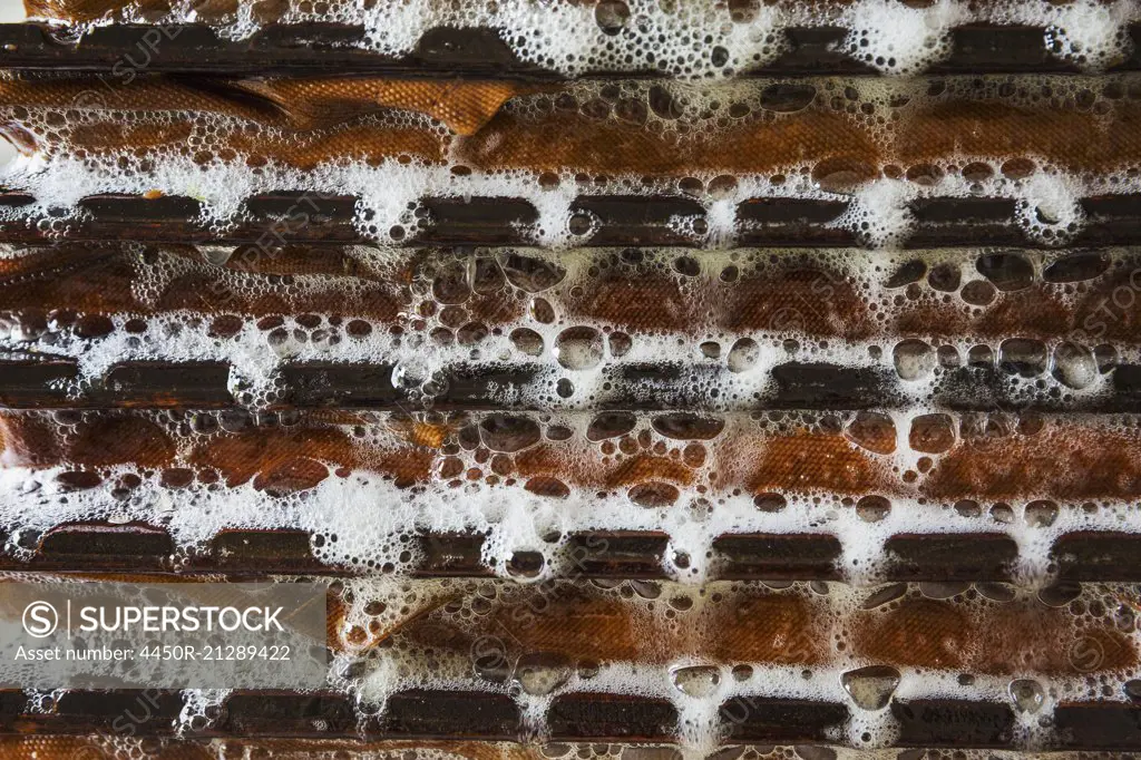 An apple press, shelves of apple pulp being pressed down. Foaming fresh juice running down the sides of the press.