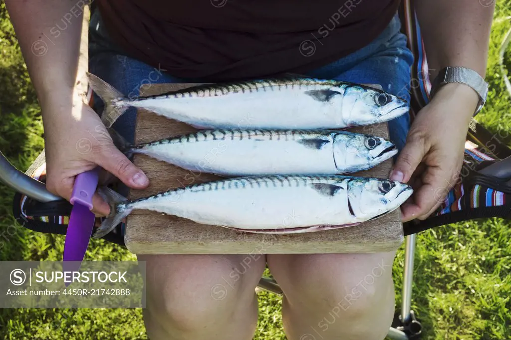Three fresh mackerel fish on a wooden board, being prepared for cooking.