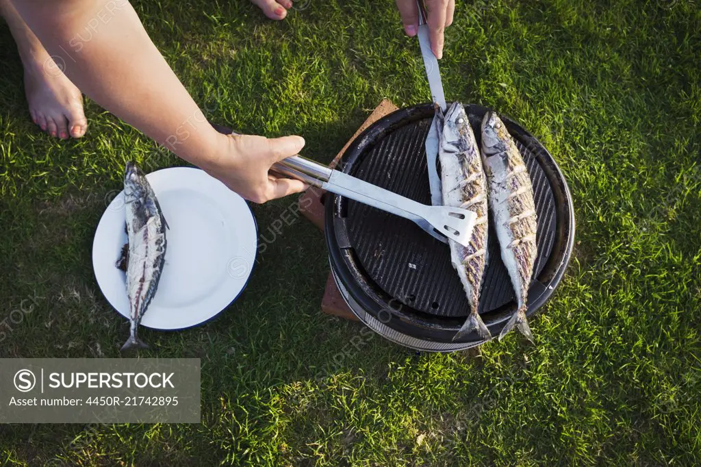 A woman barbequeing two fresh mackerel fish on a small grill, turning the fish.