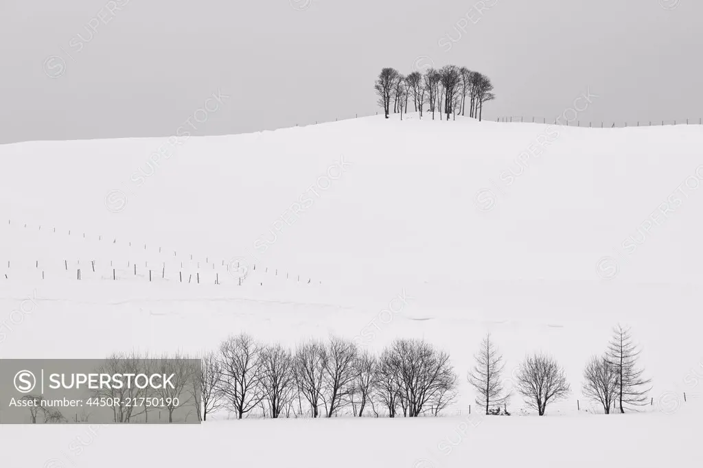 Snow-covered winter landscape with small copse on distant hill.