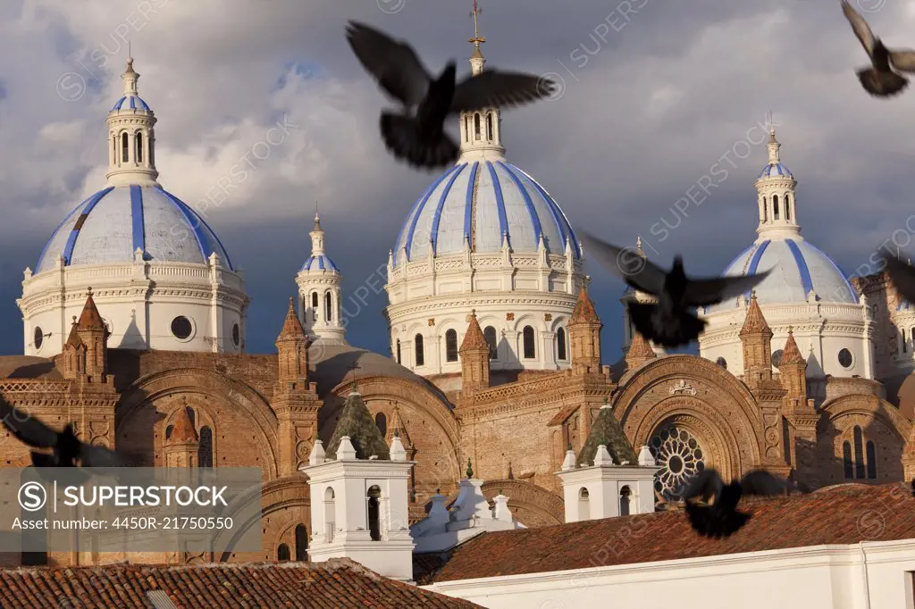 Pigeons mid-air with blue-tile domes of 19th century cathedral in the background.