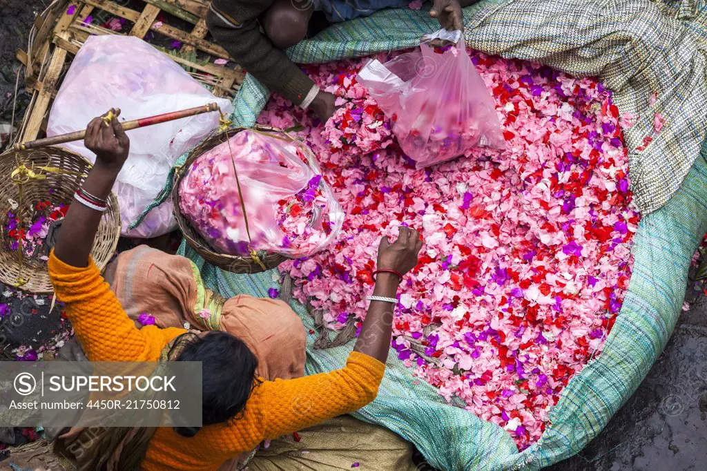 High angle view of vendor selling pink flower petals at a street market.