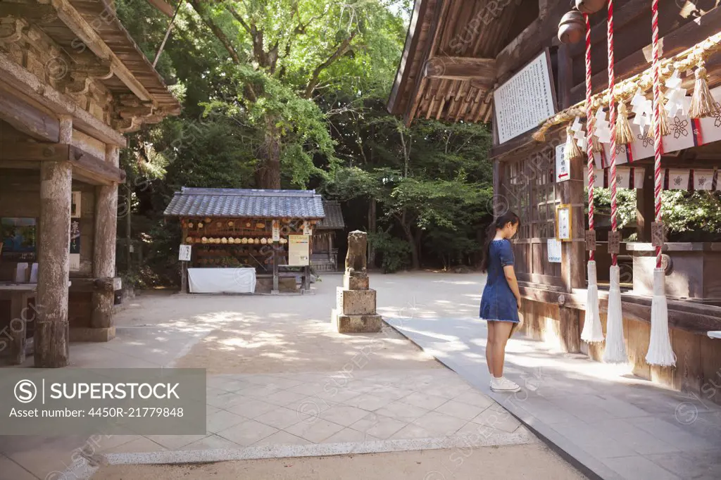 Young woman wearing blue dress standing at Shinto Sakurai Shrine, Fukuoka, Japan.