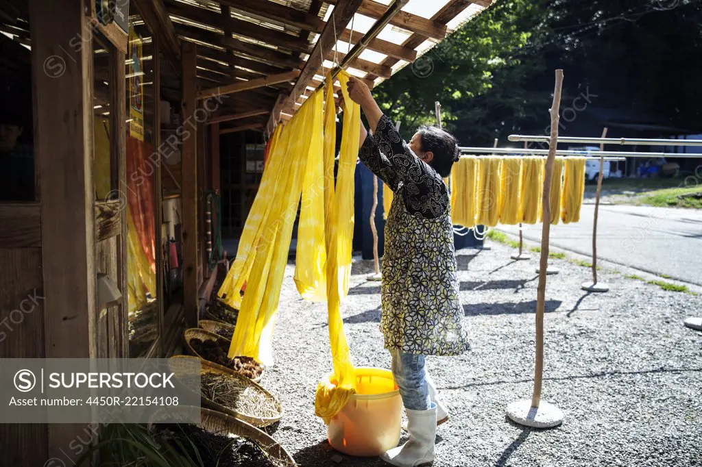 Japanese woman outside a textile plant dye workshop, hanging up freshly dyed bright yellow fabric.