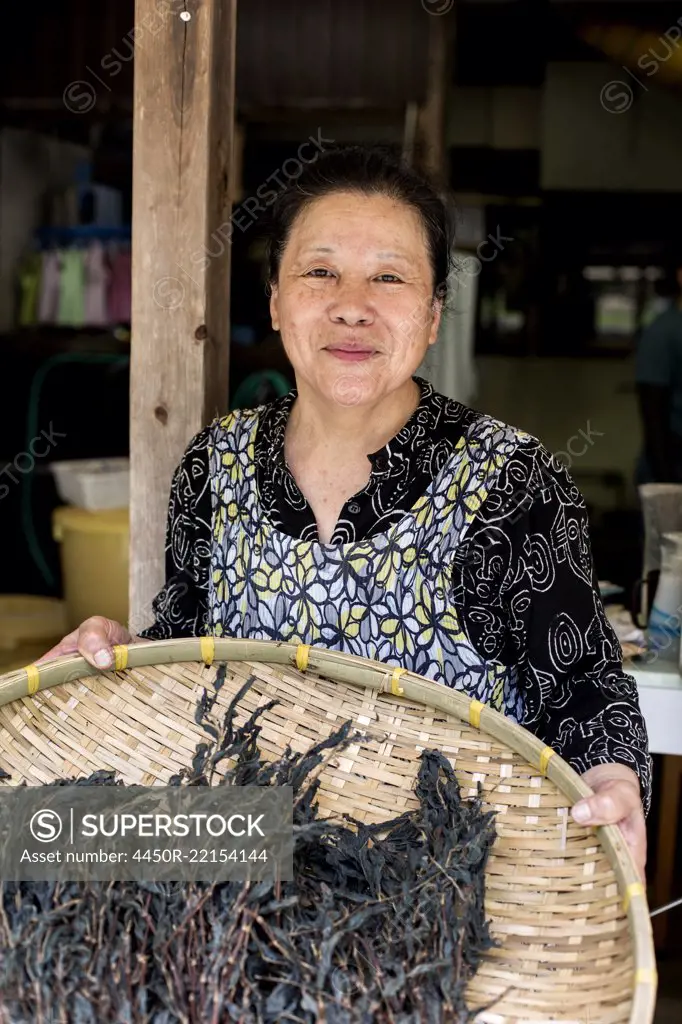 Japanese woman standing in a textile plant dye workshop, holding basket with plant matter, smiling at camera.