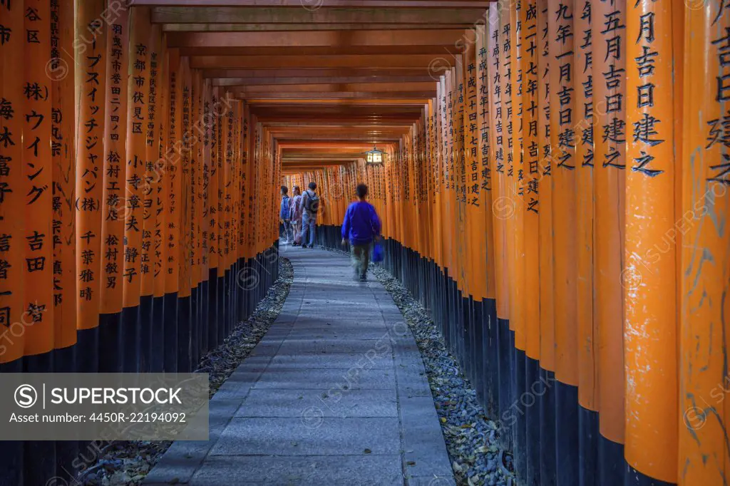 People walking through red torii gates, Kyoto, Japan.