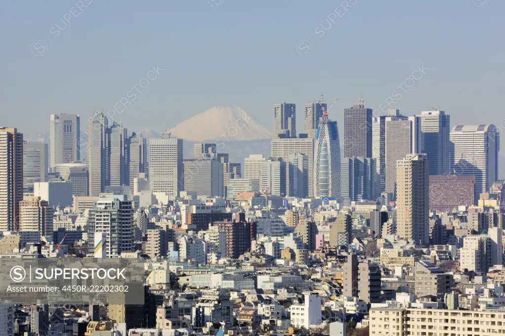 Shinjuku Skyline with Mt Fuji