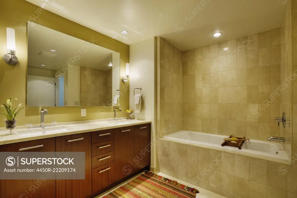 Luxury bathroom