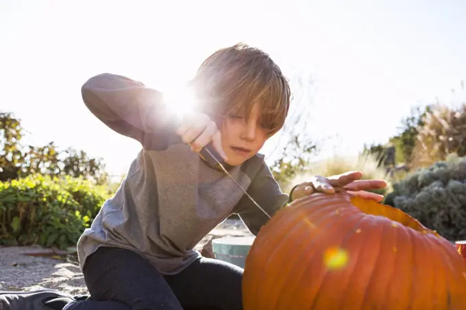 A six year old boy carving a pumpkin at Halloween.