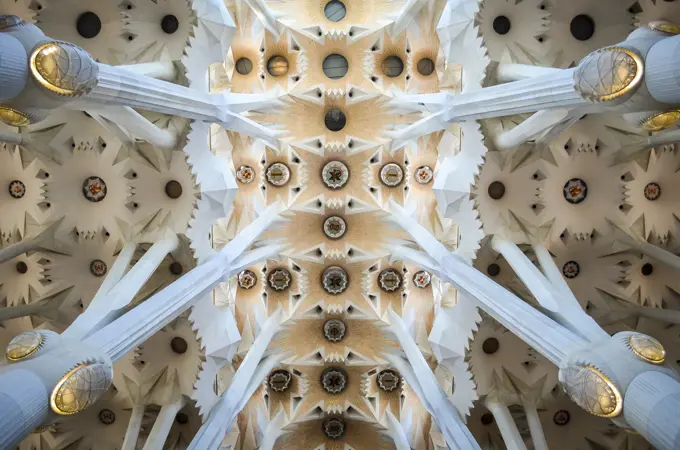 Low angle interior view of vaulting, Sagrada Familia, Barcelona, Catalonia, Spain.