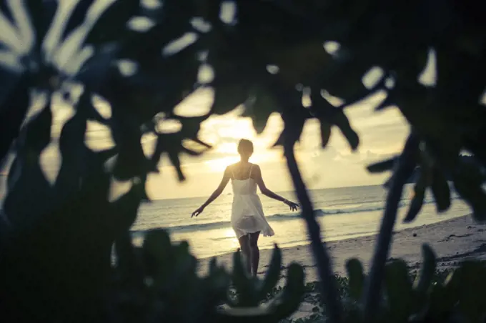 Rear view of young woman walking along beach at sunset, palm trees in foreground.