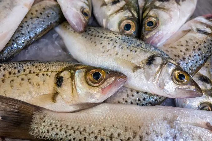 Fresh fish in market in The Algarve, Portugal