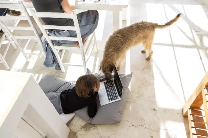 Eight year old boy, chin on hands, watching a laptop screen, a curious dog nuzzling the keyboard. 