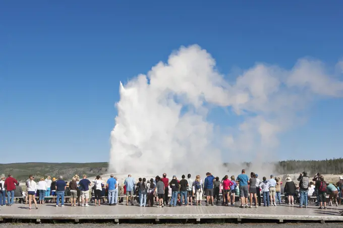 Rear view of tourists looking at geyser in Yellowstone Park.