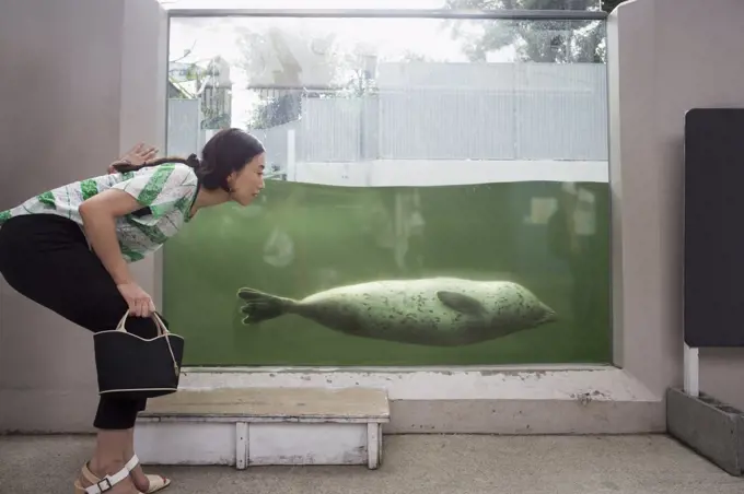 A woman crouching by a marine tank at an aquarium exhibit. An animal in the water.