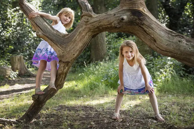 Two young girls climbing a tree in a forest.