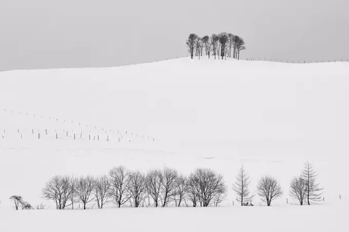 Snow-covered winter landscape with small copse on distant hill.