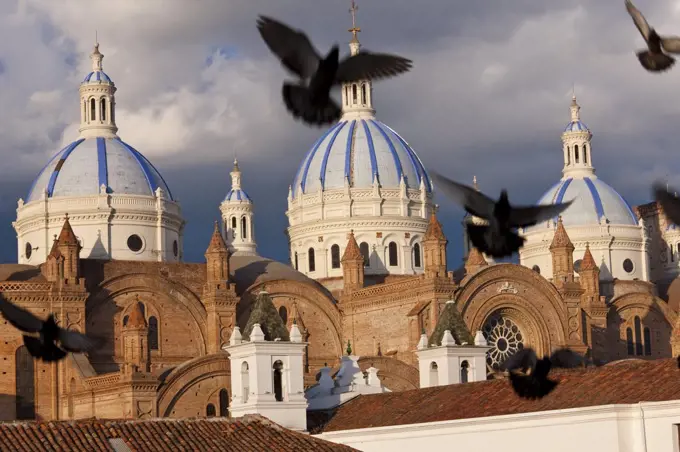 Pigeons mid-air with blue-tile domes of 19th century cathedral in the background.