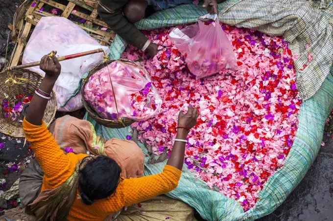 High angle view of vendor selling pink flower petals at a street market.