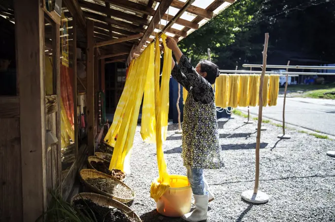 Japanese woman outside a textile plant dye workshop, hanging up freshly dyed bright yellow fabric.