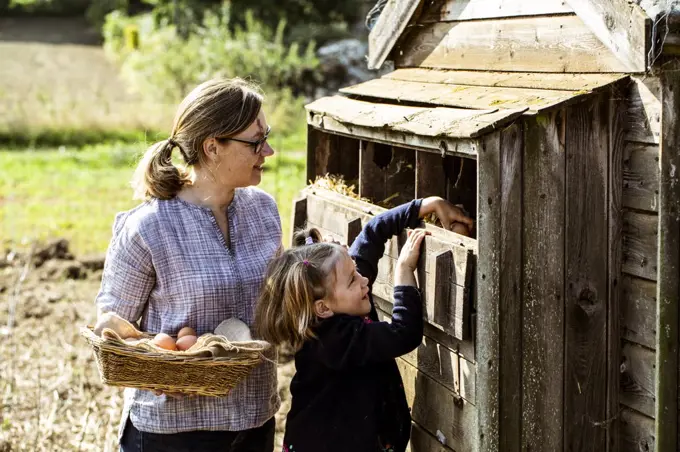 Woman and girl collecting eggs from a chicken house.