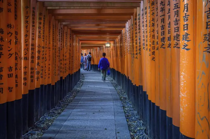 People walking through red torii gates, Kyoto, Japan.