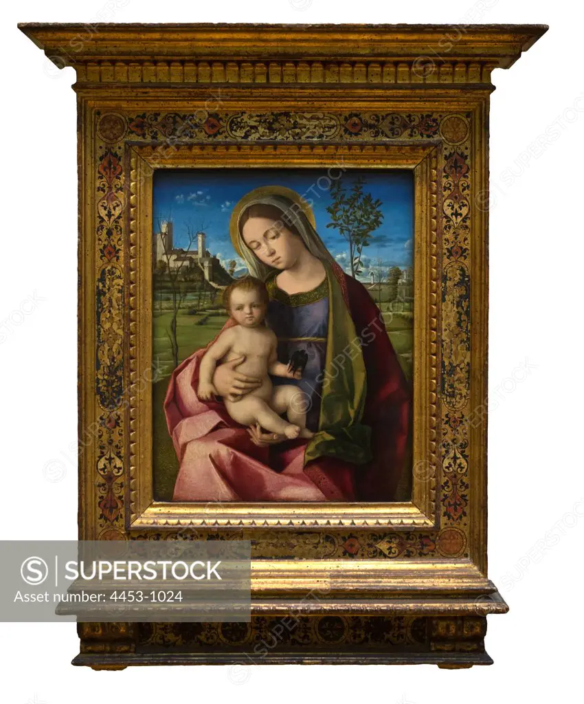 Workshop of Giovanni Bellini; Italian; Madonna and Child; Oil on wood.