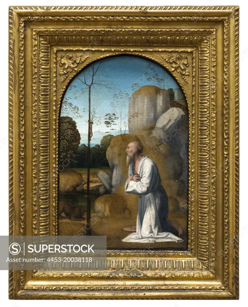 Penitent St. Jerome; 1498. (Fra Bartolomeo della porta 1472 Florence Florence 1517)