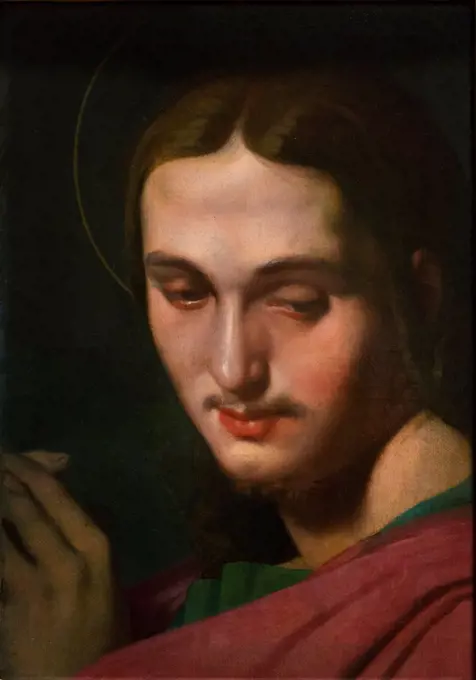 Jean-Auguste-Dominique Ingres; French; 1780-1867; Head of Saint John the Evangelist; Oil on canvas.