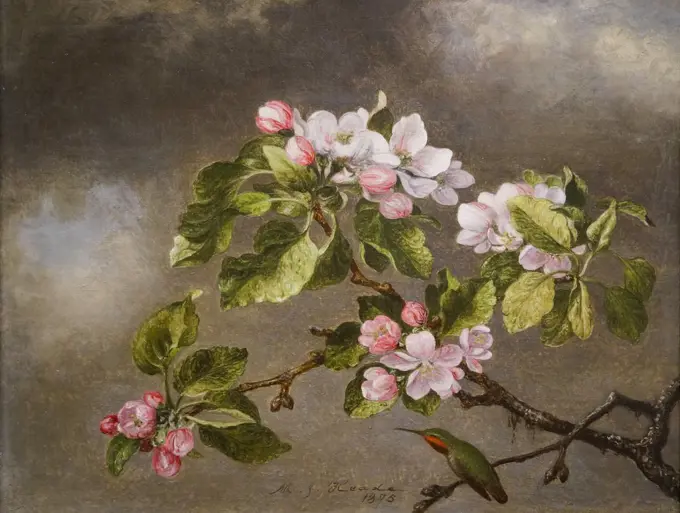 Honemingbird and Apple Blossoms by Martin Johnson Heade (1819 - 1904); Oil on canvas; 1875