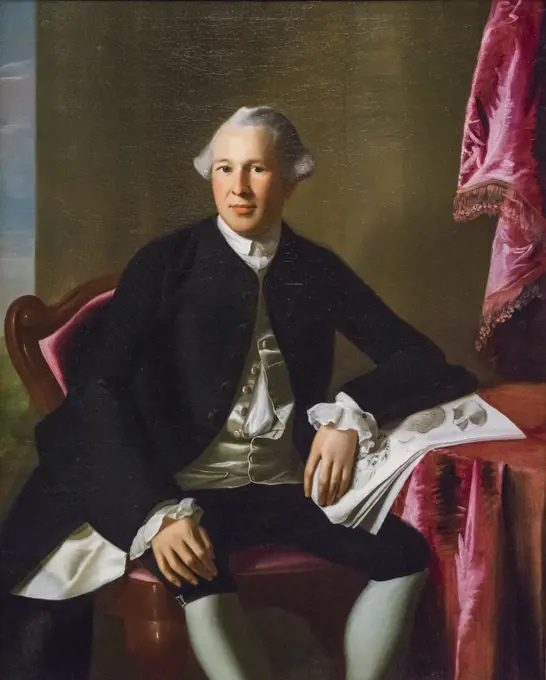 Joseph Warren; about 1765 Oil on canvas John Singleton Copley American; 1738-1815