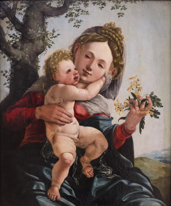 the madonna with the feldbloneen. About 1527/29. (Jan van scorel; workshop;)