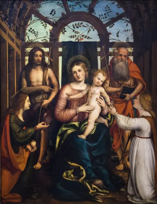 Altarpiece showing the Virgin and Child; with Saints Mary Magdalene; John the Baptist; Jerome; and Catherine of Alexandria After 1521 Oil and gold on panel Andrea Previtali Italian Born c. 1480; died 1528