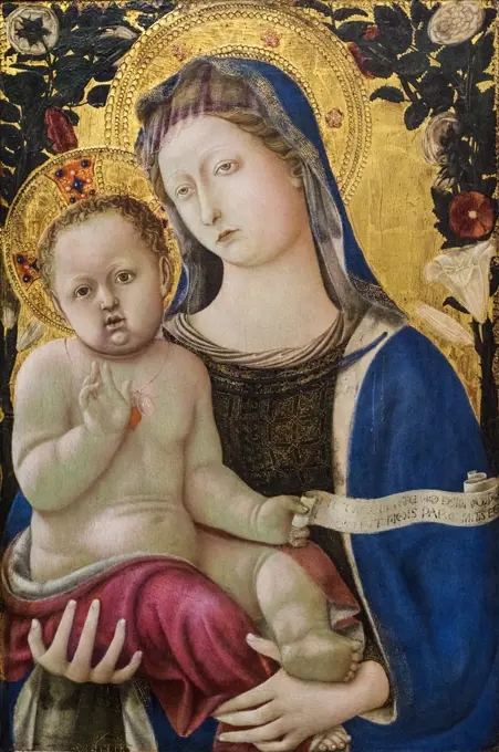 Virgin and Child 1437 Tempera and tooled gold on panel by Domenico di Bartolo