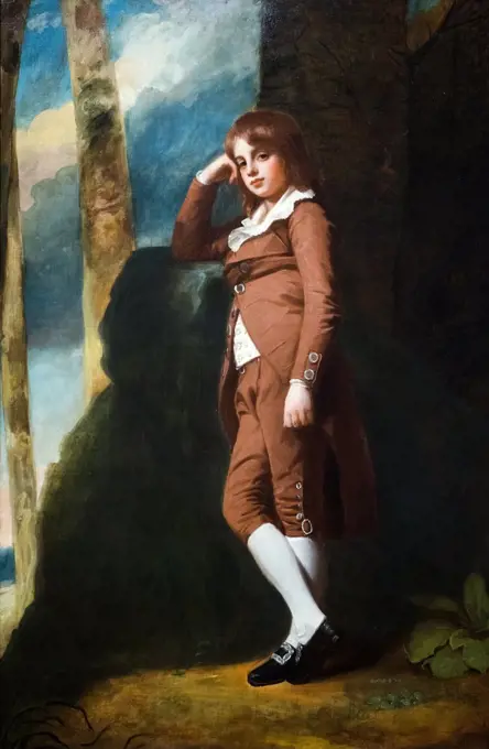 John Bensley Thornhill (1773-1841) as a Boy; about 1784-85 Oil on canvas George Romney English; 1734-1802