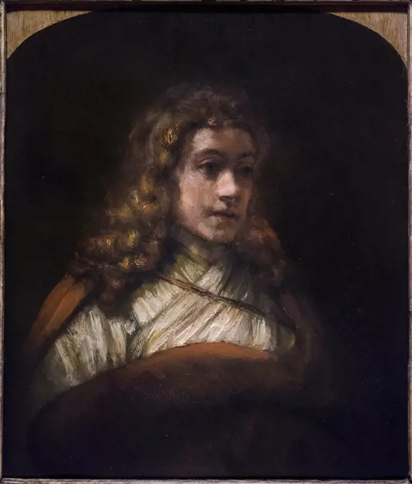 Bust of a Youth; early 1660s; Oil on oak panel Rembrandt Harmensz van Rijn; Dutch; 1606-69