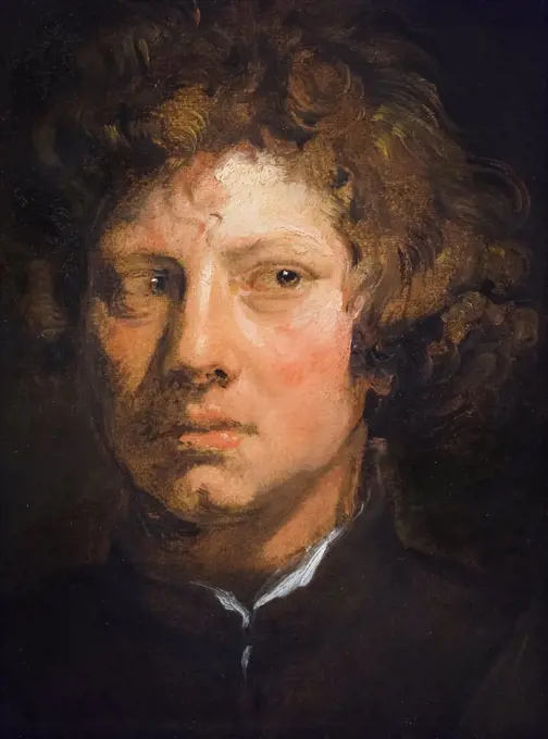 Head of a young man Oil on panel c; 1617-18Anthony van Dyck; Flemish; 1599-1641