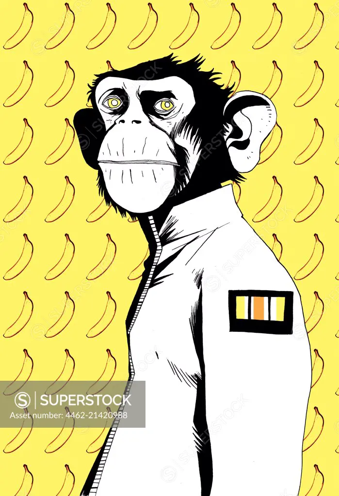 Portrait of monkey in jacket on background with banana pattern