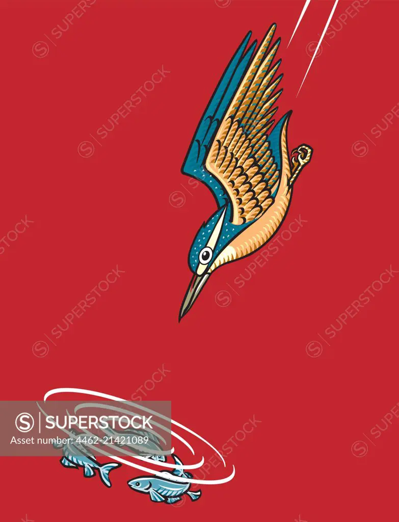 Hummingbird and fish, red background