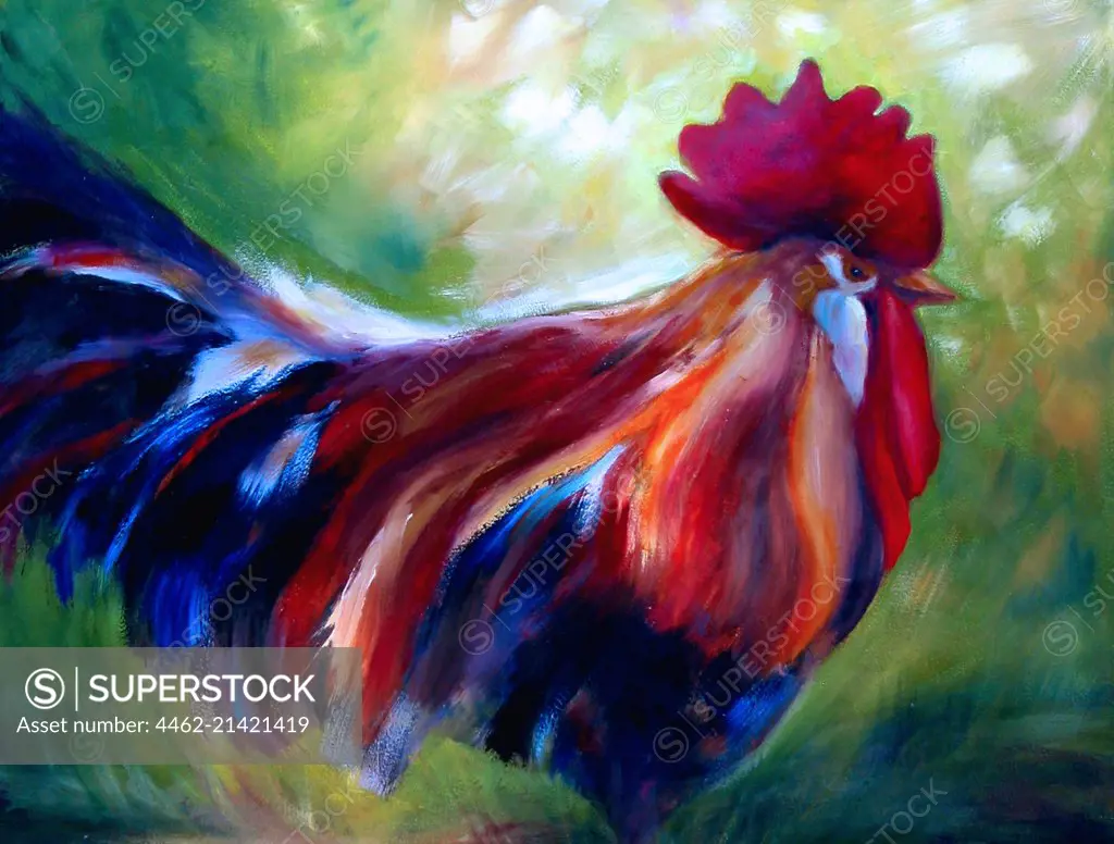 Portrait of cock