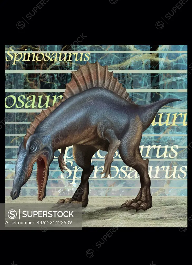 Spinosaurus looking down